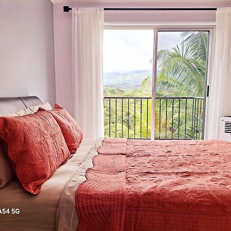 Victoria House Pansiyon San Isidro De El General Dış mekan fotoğraf